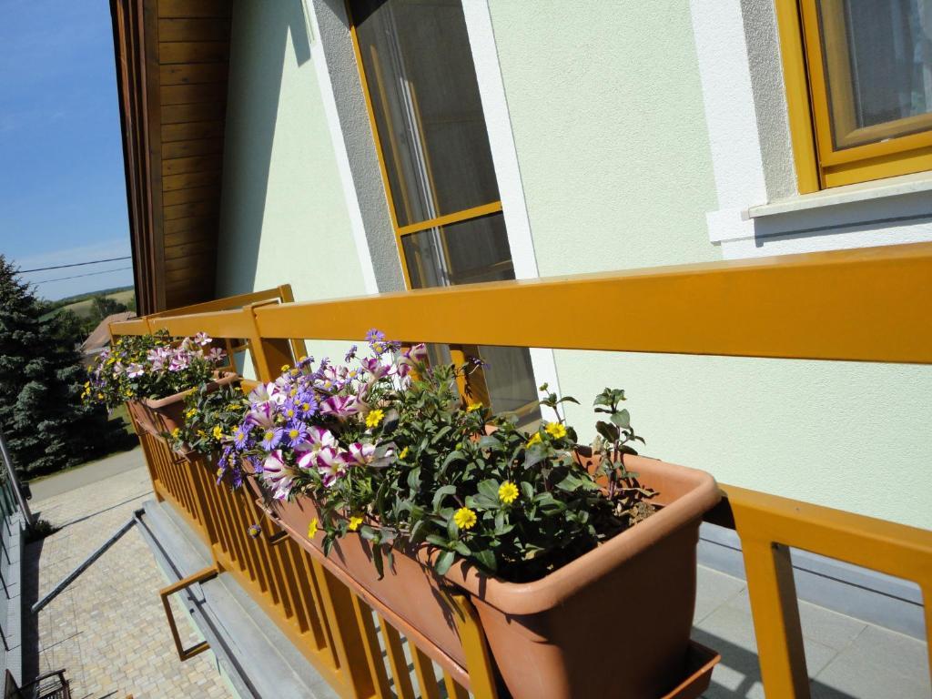 Gaestezimmer Rieder Staatz Quarto foto
