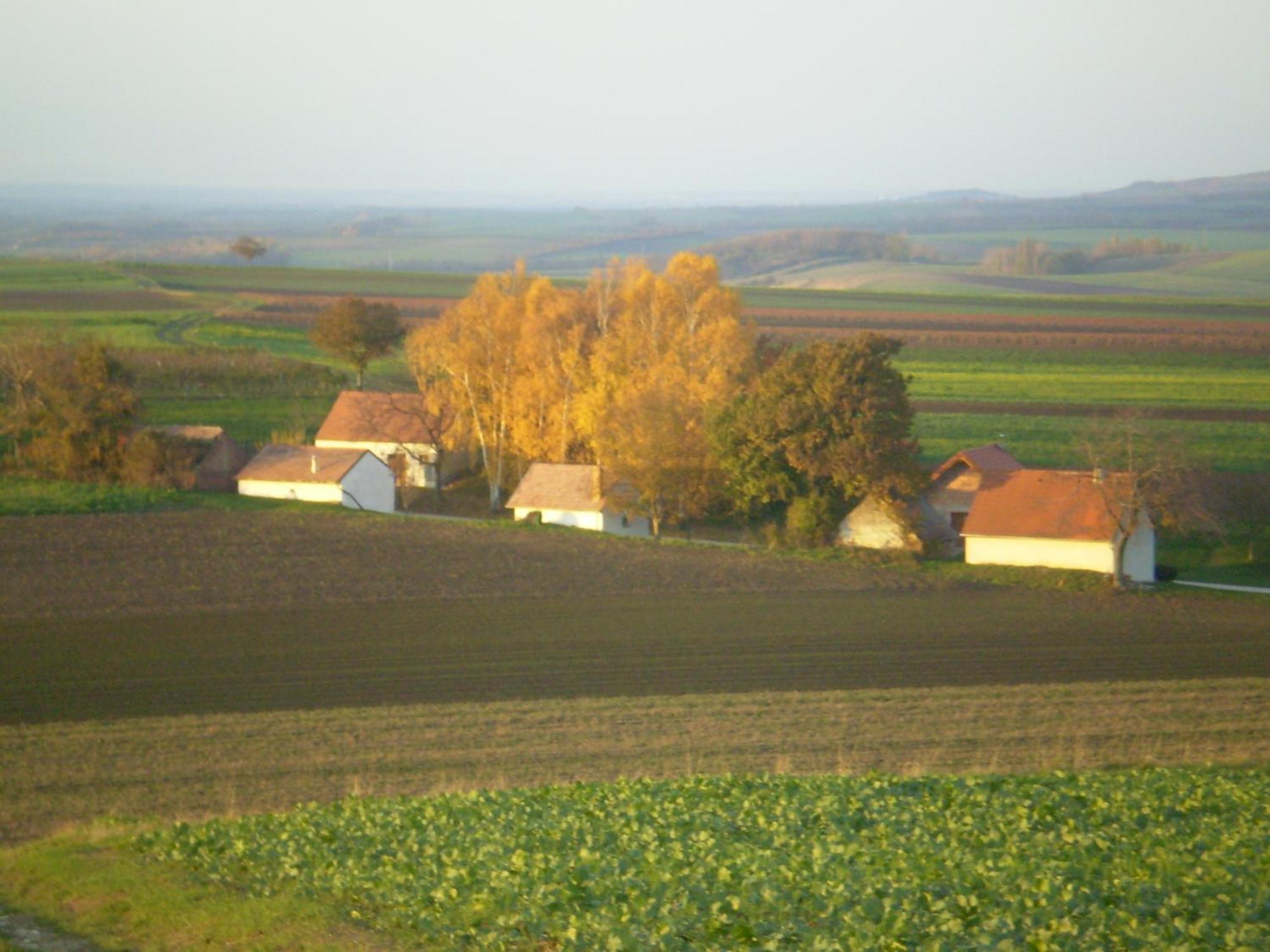 Gaestezimmer Rieder Staatz Exterior foto